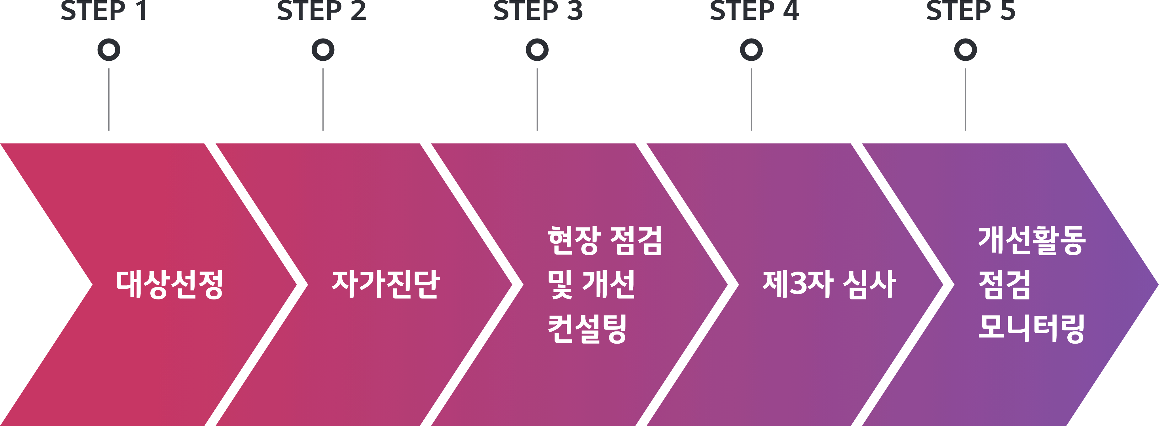 (STEP 1)대상선정 → (STEP 2)자가진단 → (STEP 3)현장 점검 및 개선 컨설팅 → (STEP 4)제3자 심사 → (STEP 5)개선활동 점검 모니터링